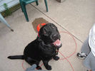 DSC00208.JPG