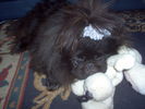 Copy (2) of IM000167.JPG