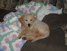 DSCF0361.JPG