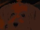 Filename=bcc.JPG
Filesize=27KiB
Dimensions=487x364
Date added=Dec 05, 2010 bcc.JPG