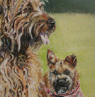 Chewy and Junior dog portrait in pastels 16x20